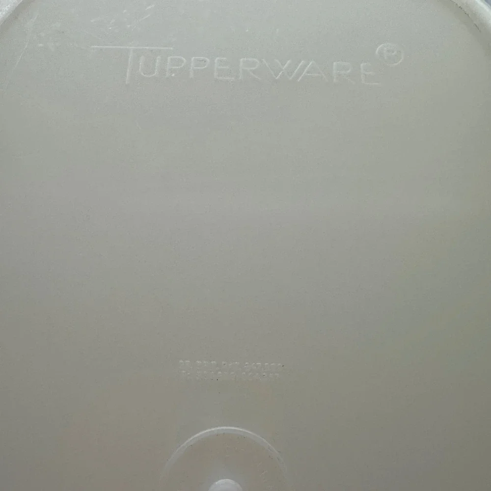 Vintage Tupperware Flavor Saver Roast Ham Keeper 3 Pc Container Insert Lid 487